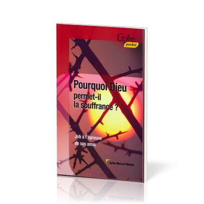 Pourquoi Dieu permet-il la souffrance? - Job à l'épreuve de ses amis