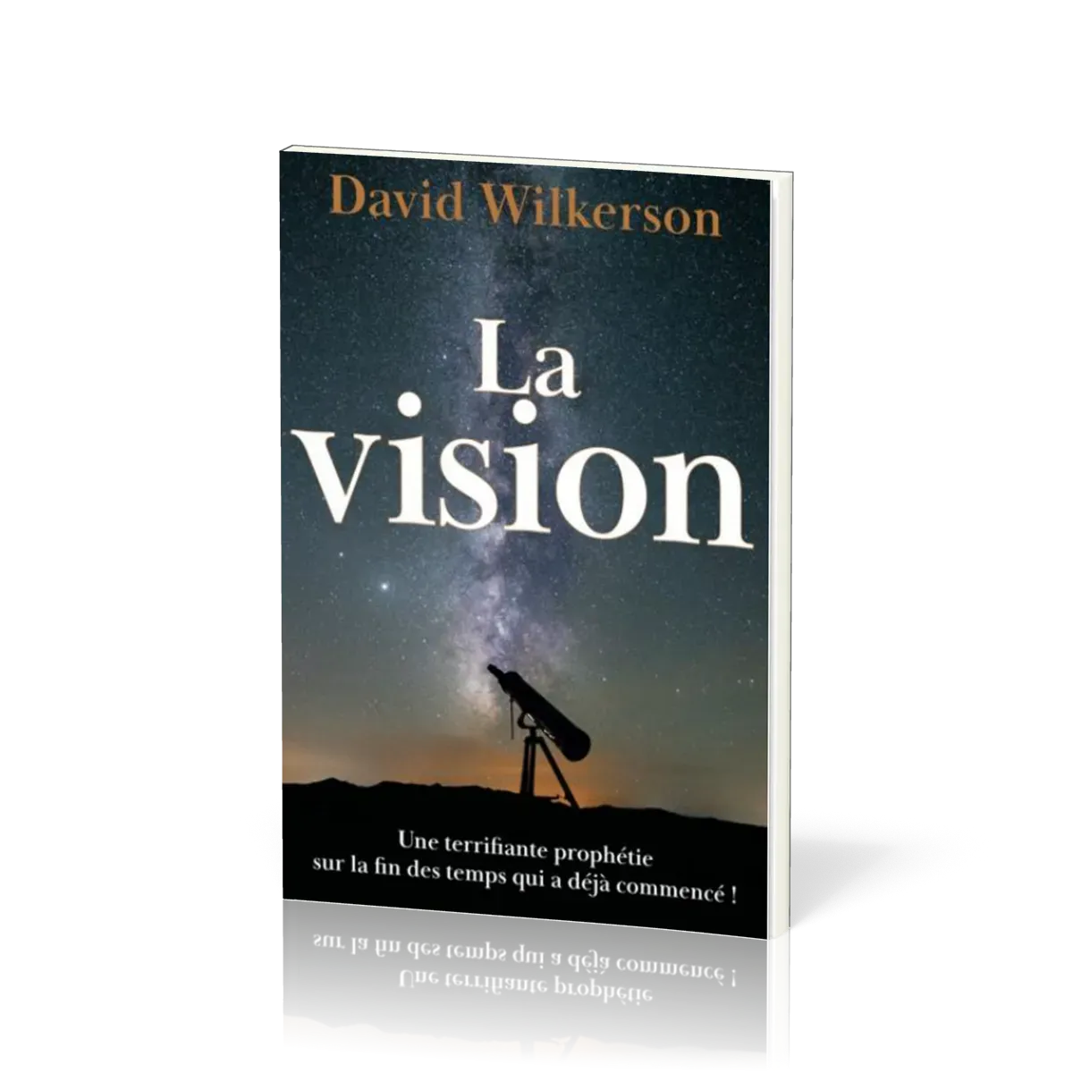 Vision (La)