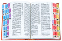 Bibel-Griffregister für Kinder - mit Symbolen