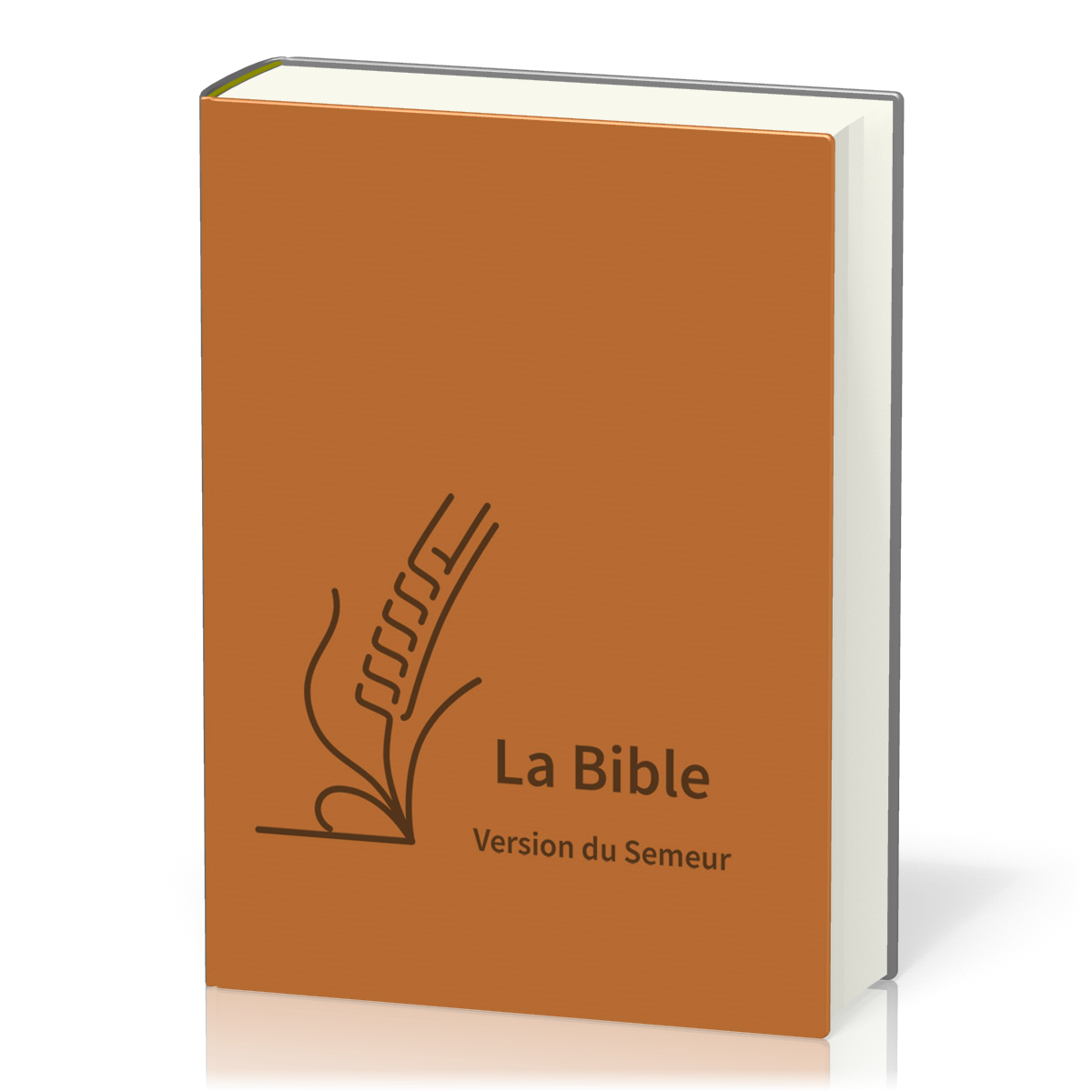 Bible Semeur 2015, gros caractères - couverture semi-souple, textile brun