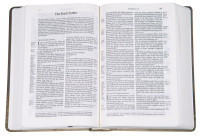 Allemand, Bible Schlachter 2000, motif "tulipe", références, parallèles [nouvelle orthographe]...