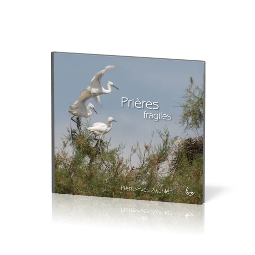 Prières fragiles