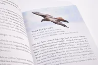 Bevor du baggerst - Hinweise zum Umgang mit dem anderen Geschlecht - Zwischen Versuchung und... Bevor du baggerst - Hinweise zum Umgang mit dem anderen Geschlecht - Zwischen Versuchung und...