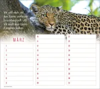 Geburtstagskalender - Wandkalender immerwährend Geburtstagskalender - Wandkalender immerwährend