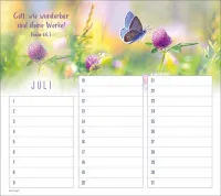 Geburtstagskalender - Wandkalender immerwährend Geburtstagskalender - Wandkalender immerwährend