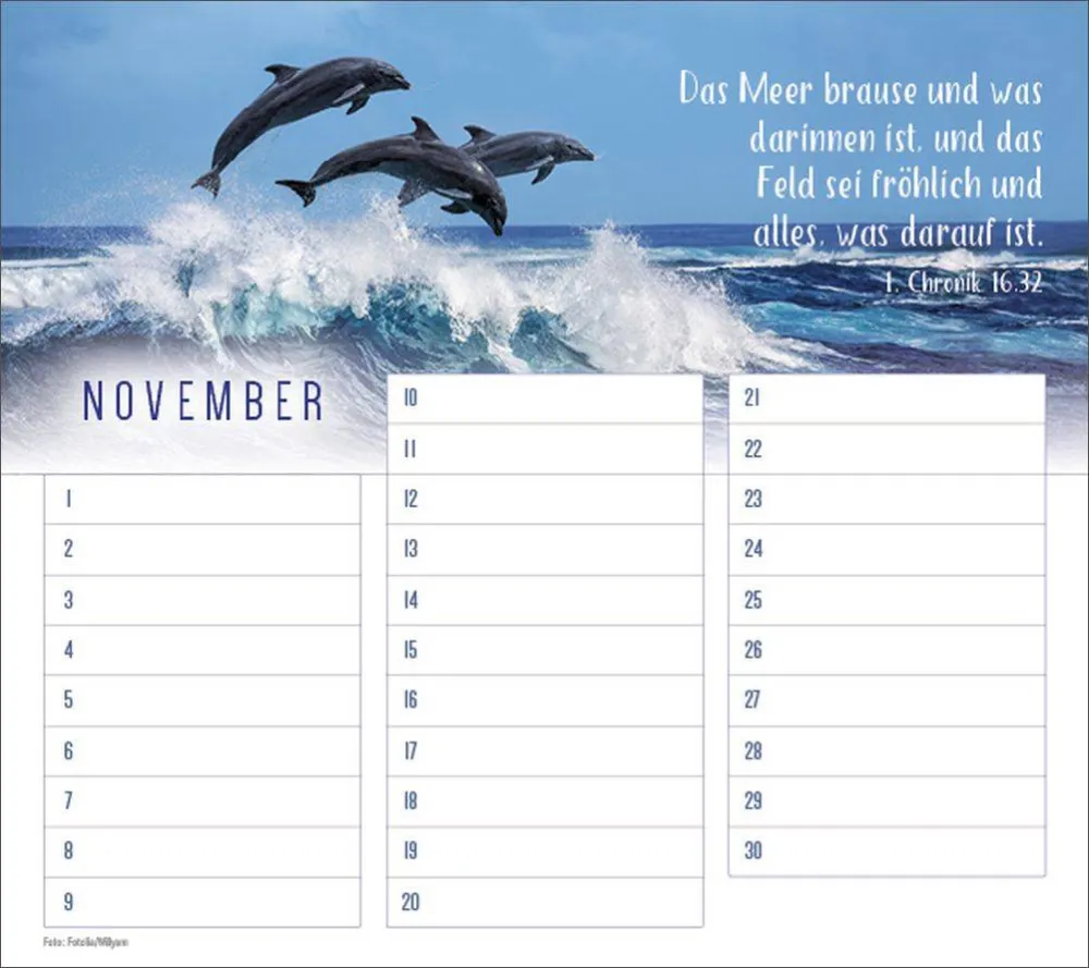 Geburtstagskalender - Wandkalender immerwährend Geburtstagskalender - Wandkalender immerwährend