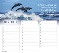 Geburtstagskalender - Wandkalender immerwährend Geburtstagskalender - Wandkalender immerwährend