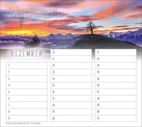 Geburtstagskalender - Wandkalender immerwährend Geburtstagskalender - Wandkalender immerwährend