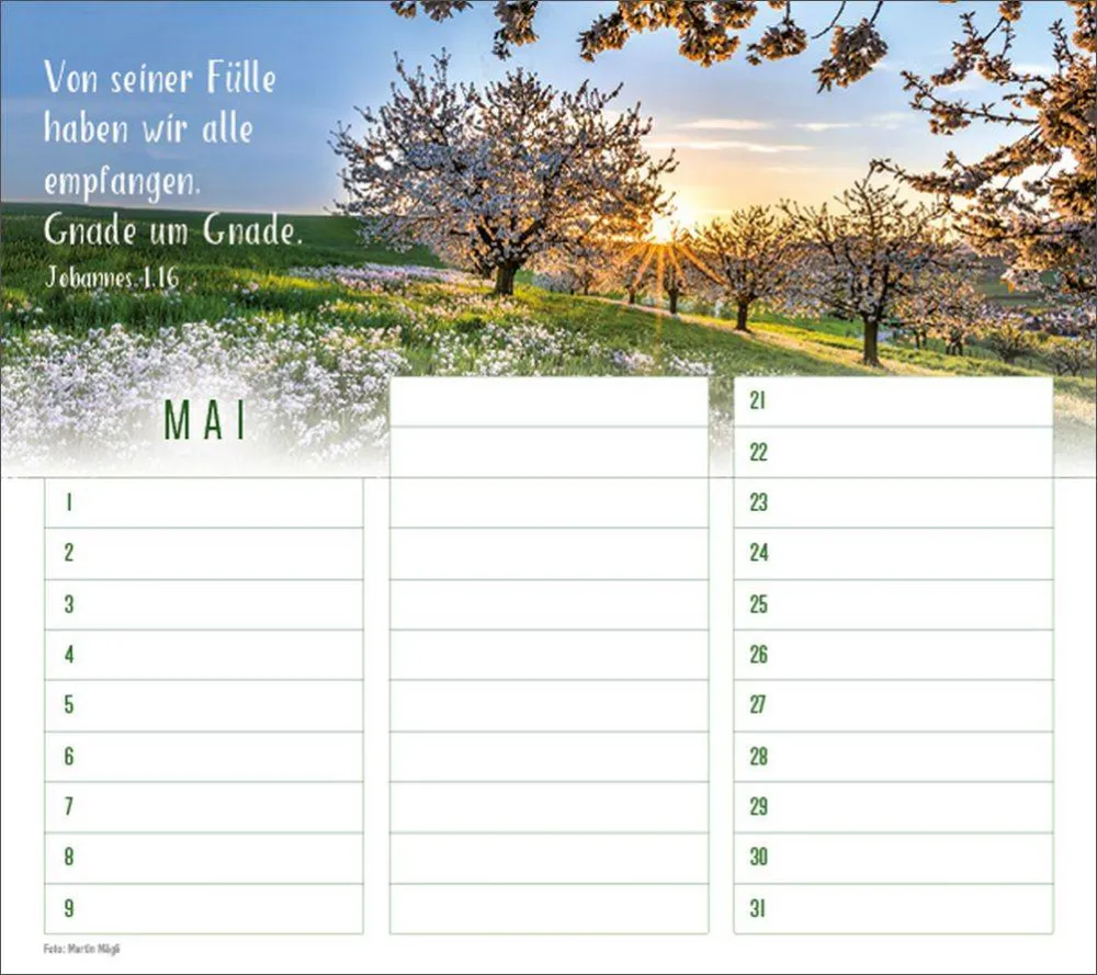 Geburtstagskalender - Wandkalender immerwährend Geburtstagskalender - Wandkalender immerwährend