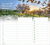 Geburtstagskalender - Wandkalender immerwährend Geburtstagskalender - Wandkalender immerwährend