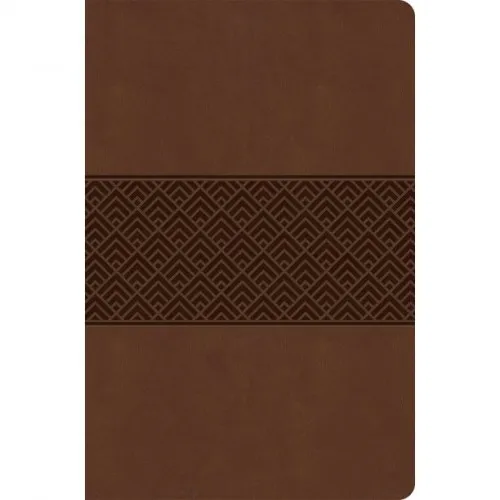 Anglais, Bible d'étude Christian Standard Bible, brune