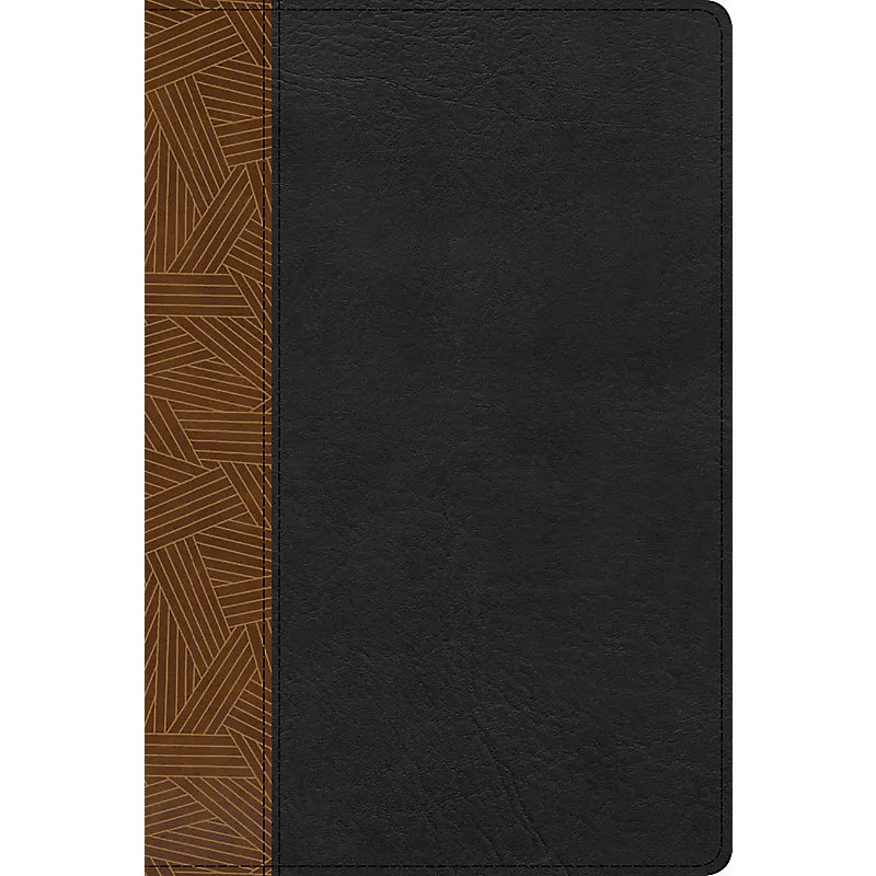 Espagnol, Bible d'étude Reina Valera 1960, similicuir, café/noire